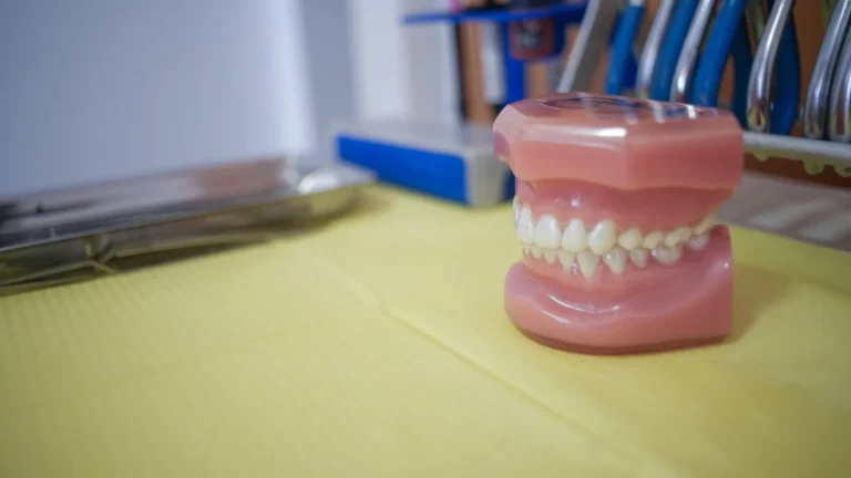 Modelo dental con dientes blancos sobre la bandeja de trabajo en OdontoBa